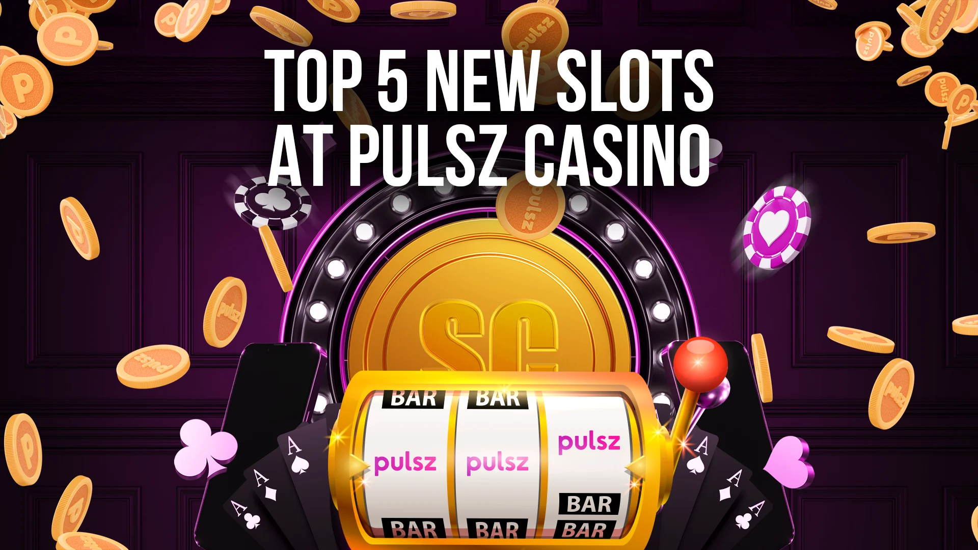 Pulsz slide2